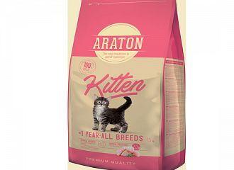 Kitten Araton